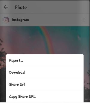 sdef - Instagram Plus APK v294 Download (Extra Features)