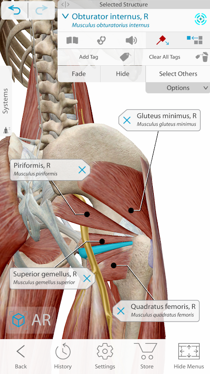 human anatomy atlas 2021 apk + obb