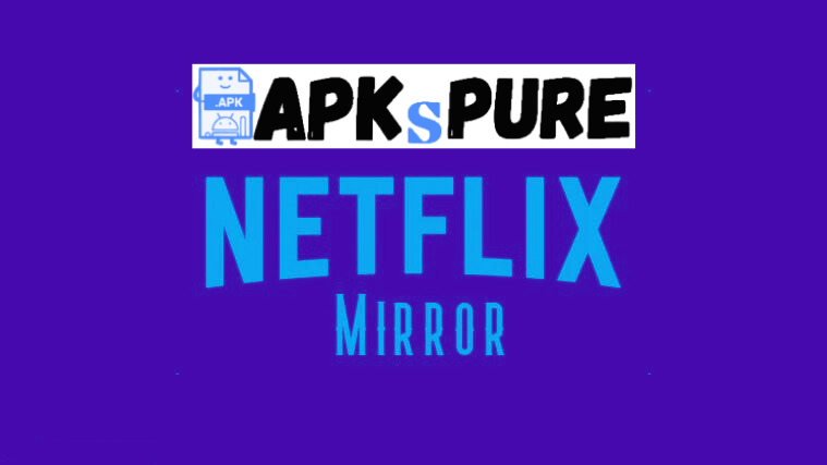 mirrored version of netflix